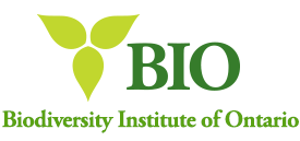 Biodiversity Institute of Ontario