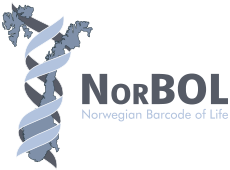 NorBOL Logo